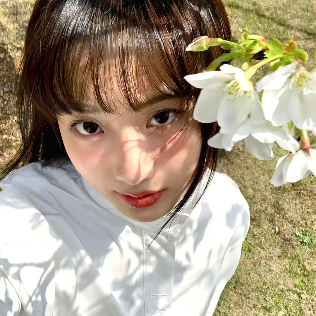 坡道上的红屋顶 在线观看